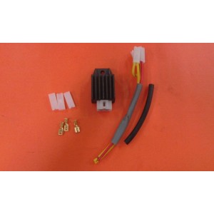 REGULADOR BGM 6V AC/DC