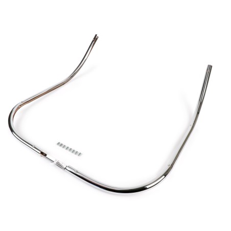 Bordones del escudo cromados.