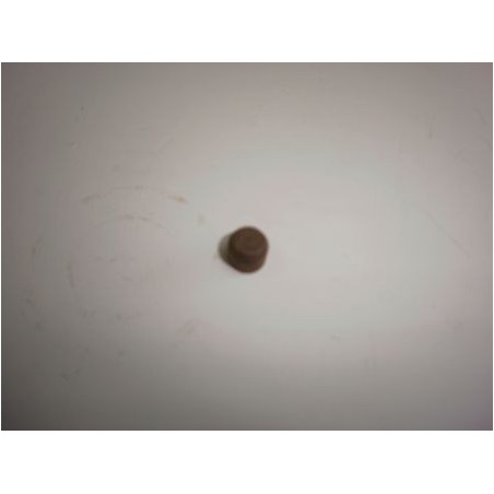 Tetoncillo de empuje del embrague.