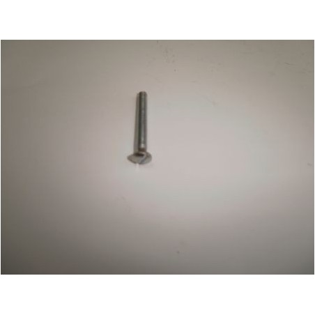 Tornillo tapa de manillar S2.