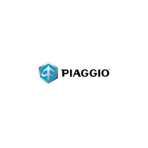 INTERMITENTE DELANTERO IZQ (PIAGGIO)