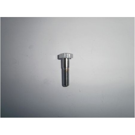 Tornillo sujeccion tapa manillar LD.