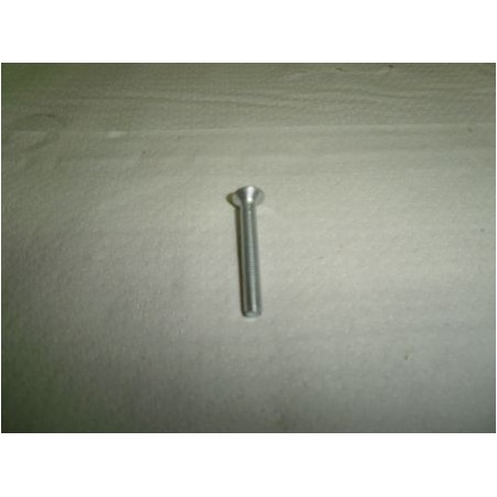 Tornillo sujeccion tapa manillar. S3.